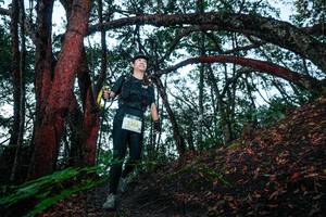 BIB: 
                            <button type="button" onclick="openModal(26343324)" class="btn btn-primary btn-sm float-right btn-popup" data-toggle="modal" data-target=".modal-high-quality">
                        <i class="fas fa-shopping-cart"></i> Add to Cart
                    </button>
                                            <button type="button" onclick="isThisMe(26343324, true)" class="btn btn-success btn-sm float-right btn-popup btn-isme hidden" data-toggle="tooltip" data-placement="bottom" title="นี่คือรูปของคุณใช่ไหม คลิกที่นี่เพื่อเอาเข้าอัลบั้ม">
                        <i class="fas fa-plus"></i> Add to album
                    </button>
                    <button type="button" onclick="isThisMe(26343324, false)" class="btn btn-warning btn-sm float-right btn-popup btn-isnotme hidden">
                        <i class="fas fa-ban"></i> Remove from album
                    </button>